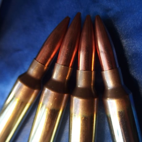 .300PRC SIERRA 165 Gr. game king Peterson Case 1個
