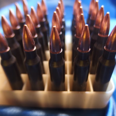 .223 REM БПЗ Steel Case Hornady 55 Grain FMJ 1個