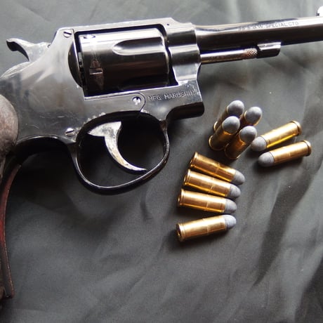 .32 S&W LONG RNCAST 90 Grain LAPUA Case 1個