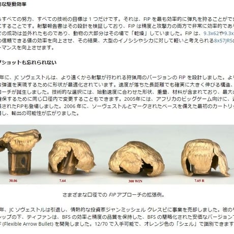 .308 DIA sauvestre BATTUE 175グレイン銅合金弾（ステンレスピン）1発