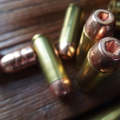 .50 AE 375 Grain Plated HP Hornady Brass Case 1個