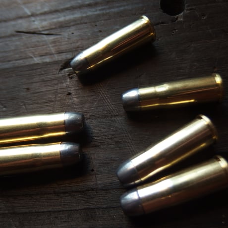 .38-40Winchester（10.17x33mmR）180 Gr. Star line case 1個