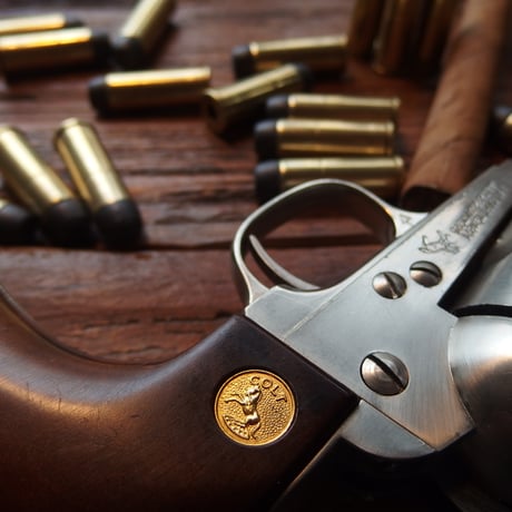 .45 LONG COLT CAST FN 255 Gr. W-W Case 1個