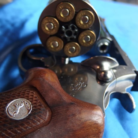 .44 Remington MAGNUM 210 Grain SJHP W-W SUPER Case Primed(Nickel) 6個組
