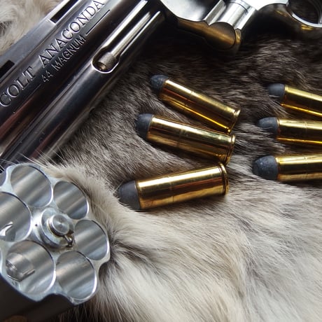 .44 MAGNUM 210 Grain CAST FN W-W SUPER Brass Case 6個組
