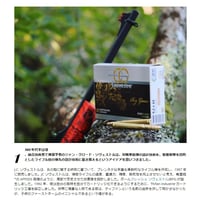 .308 DIA sauvestre BATTUE 175グレイン銅合金弾（ステンレスピン）1発