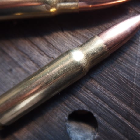 .338 FEDERAL LAPUA 250 Gr. FMJ 1個