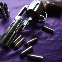 .44 MAGNUM 250 Grain Black Talon TEXAS Nickel Case 1個
