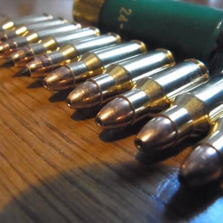 .22 TCM 専用弾装着(2種類から選択)