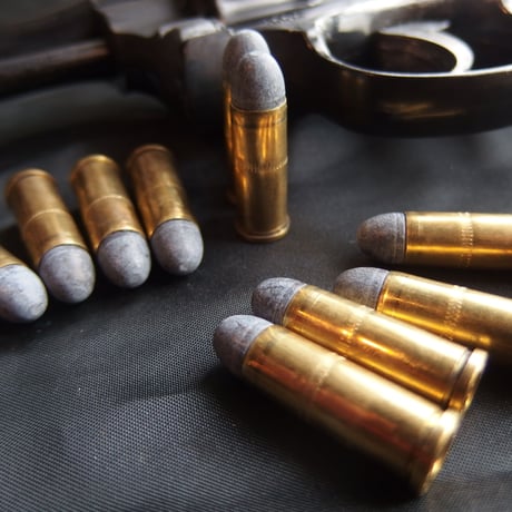 .32 S&W LONG RNCAST 90 Grain LAPUA Case 1個