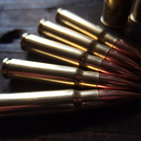 .338 FEDERAL LAPUA 250 Gr. FMJ 1個