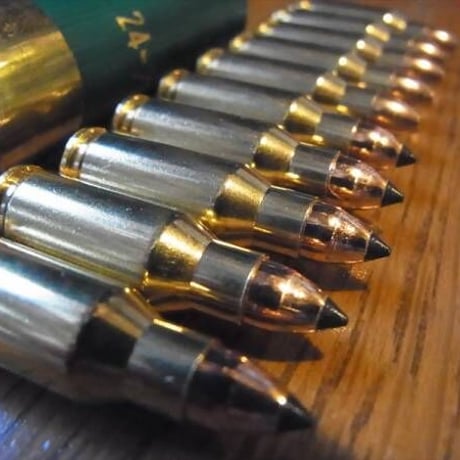 .22 TCM 専用弾装着(2種類から選択)