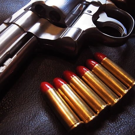 .38 Special Winchester Case lipstick bullet 145Gr. RN-NLG Coated Primed 6個組