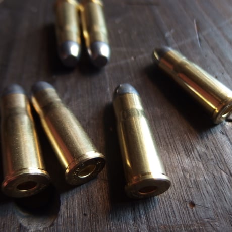 .38-40Winchester（10.17x33mmR）180 Gr. Star line case 1個