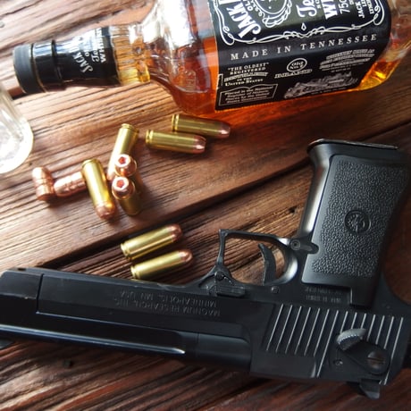 .50 AE 375 Grain Plated HP Hornady Brass Case 1個