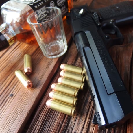 .50 AE 375 Grain Plated HP Hornady Brass Case 1個