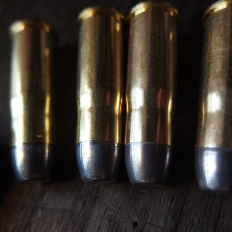 .38-40Winchester（10.17x33mmR）180 Gr. Star line case 1個