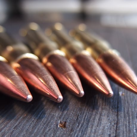 .338 FEDERAL LAPUA 250 Gr. FMJ 1個