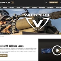 .224 Valkyrie SIERRA 60 Gr. HP Varminter Star Line Case 1個
