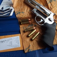.500 S&W 335 Gr. Plated Hollow Point Rainier Lead Safe bullet1個