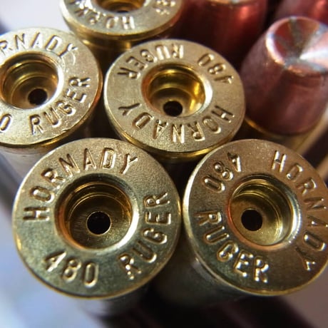 .480 ルガー(Ruger) 275 Grain BJHP (特殊弾丸) 1個