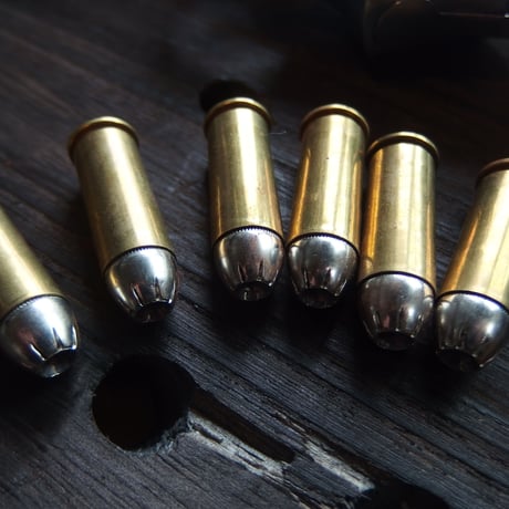 .44 S&W Special 180 Gr. Silvertip JHP Brass Winchester Case 6個組