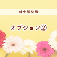 オプション②