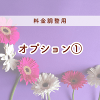 オプション①