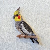 【ワッペン】オカメインコ