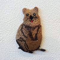 【ワッペン】クオッカワラビー
