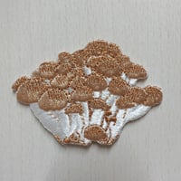 【ワッペン】しめじ