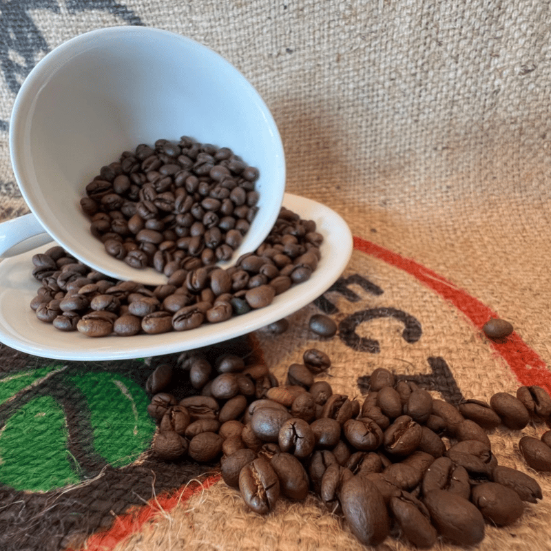 オールカラー版 Coffee―コーヒー味覚管理の実際★書込無し オールカラー版 Coffee―コーヒー味覚管理の実際☆書込無し