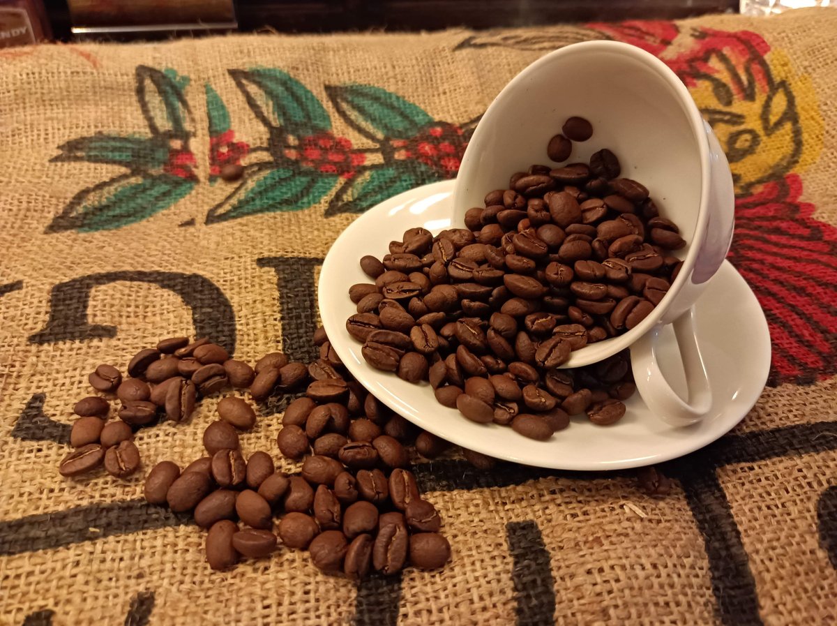 マイルドブレンド】200g やや甘みのある滑らかなコク | 珈琲淹REFINED's