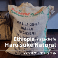 【エチオピア イルガチェフェ・ハルスケ ナチュラル】500g　　　　　　　　フルーツフレーバー酸味が心地よい