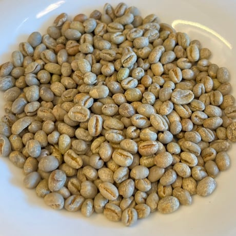 【ブラジル　ショコラ・ピーベリー】　500g　　非常に希少な珈琲です