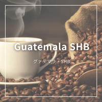 【グァテマラ　SHB】100g　　　　　酸味が適度にあり上品な風味