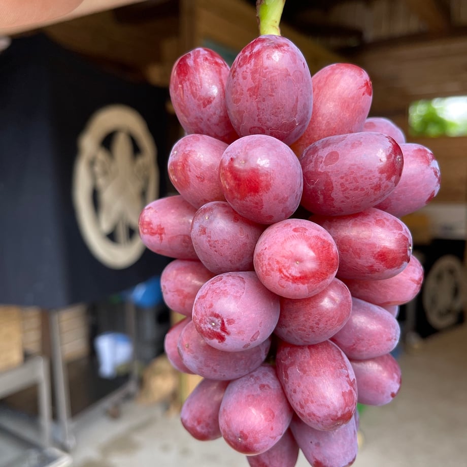 693e715bdbcf25bdf369d66c