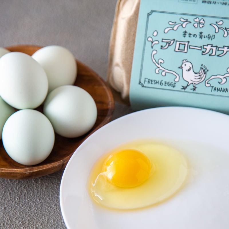 平飼い有精卵 アローカナの卵 6個入り2パック | TANAKAFARM STORE