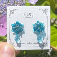 紫陽花