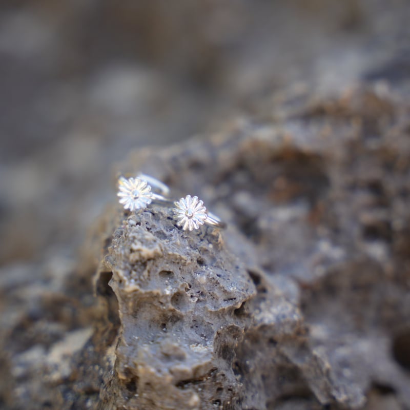 Daisy HOOP PIERCE | Salty×SEA Swim