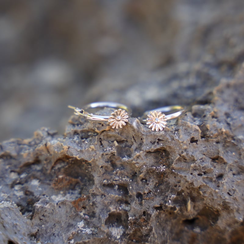 Daisy HOOP PIERCE | Salty×SEA Swim