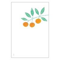 果実のカード　夏みかん