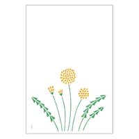 花のカード　タンポポ