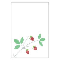 果実のカード　野イチゴ