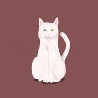 【ダウンロードイラスト】ASI-013 white cat