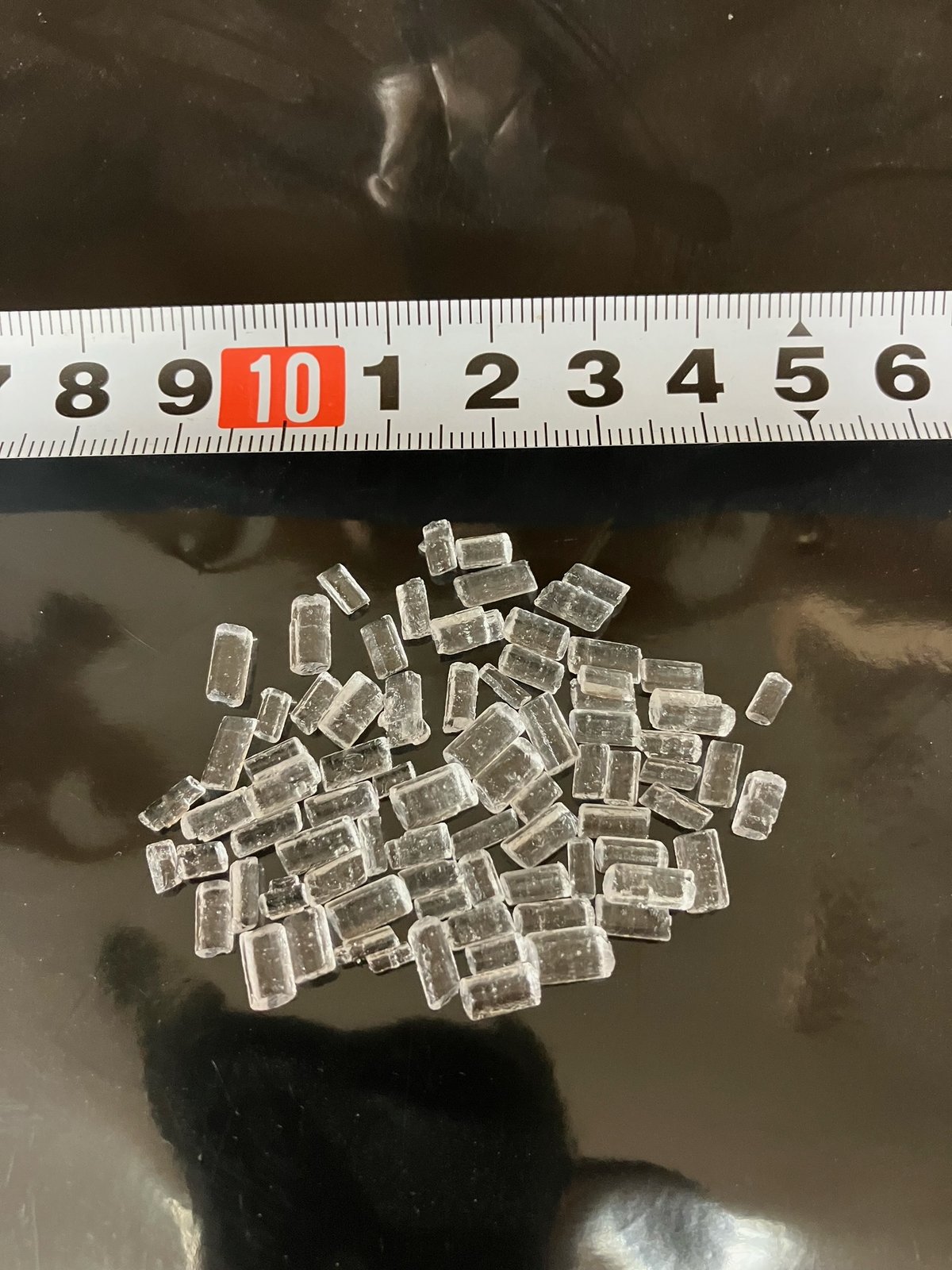 ホリダ　楊炎　超選抜株　大株 Dentaport ZX OTR | MORITA