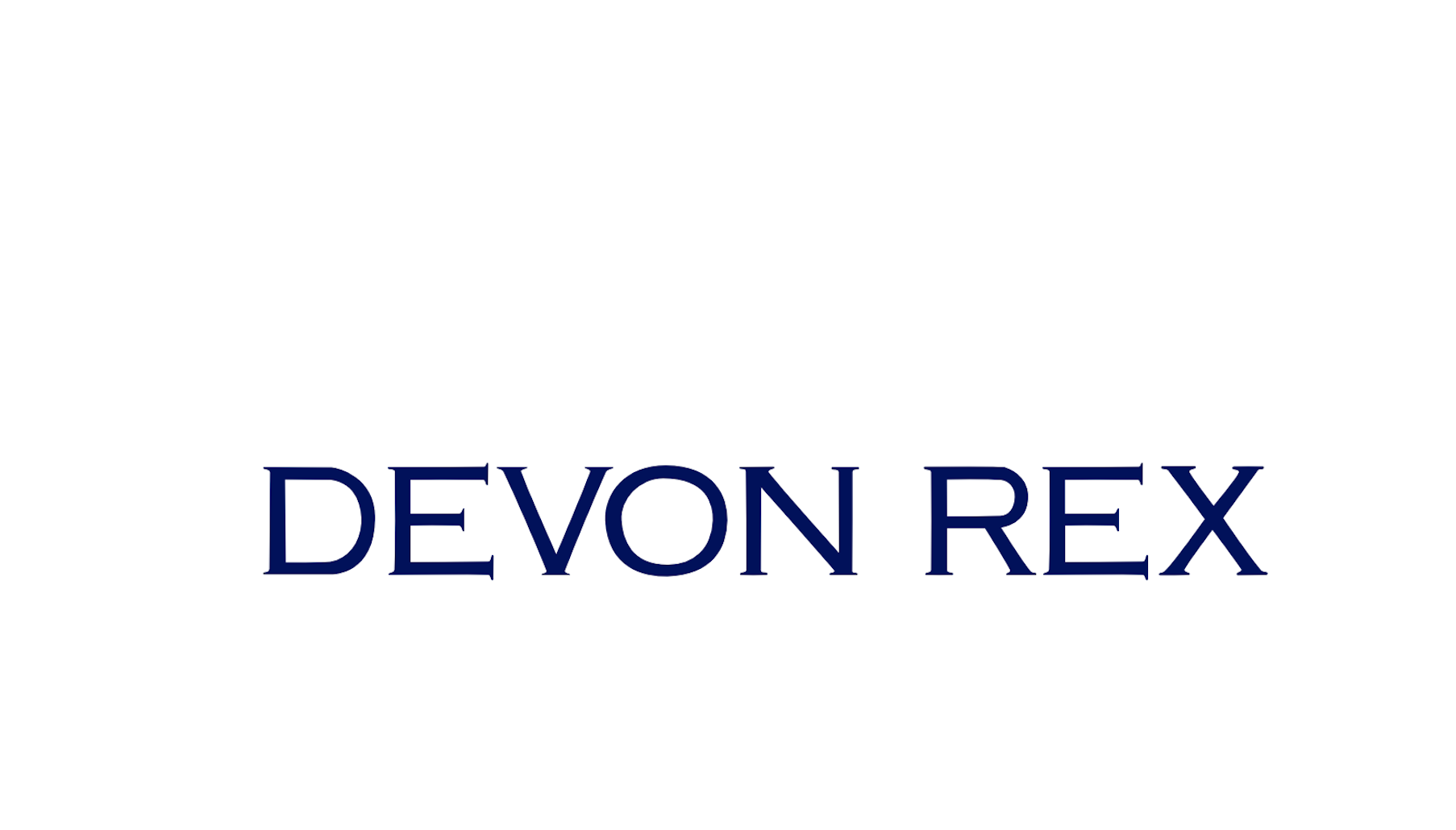 Devon Rex