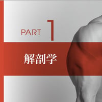 プロパーソナルトレーナーBODYMAKE検定2,3級対策講座 PART1　解剖学