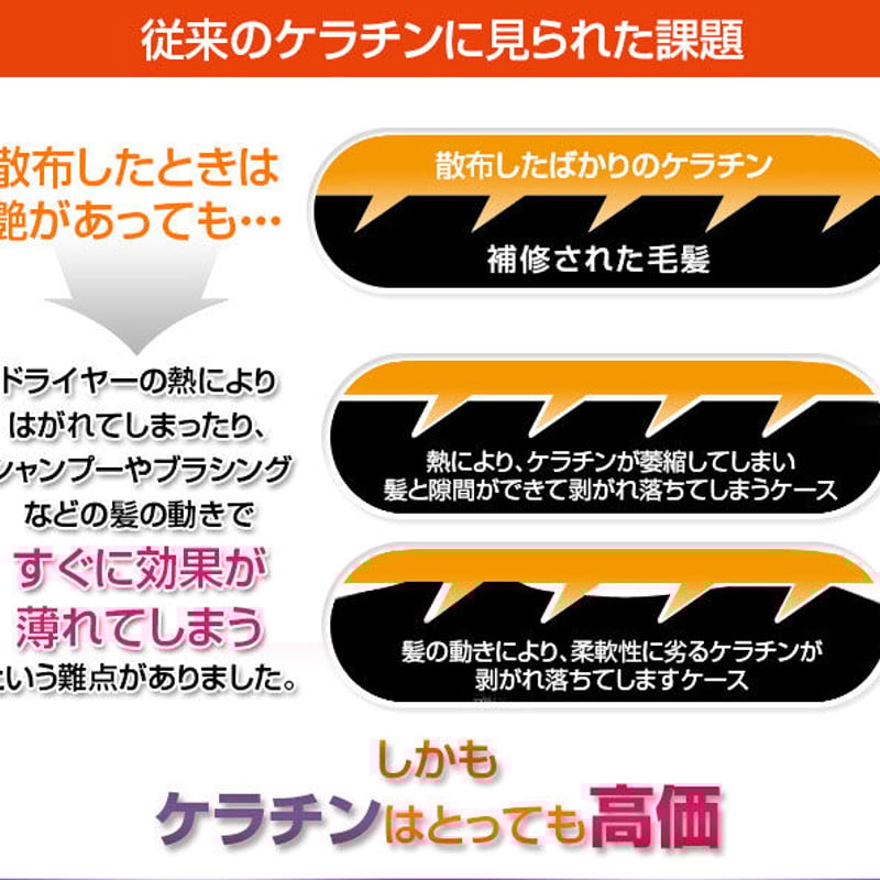 ケラチナムサーティーン プロ | PROFIT BEAUTY SHOP