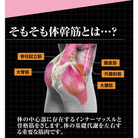 体幹筋エクサインソール インソールツインボール ★送料無料